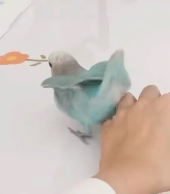 1_展示图